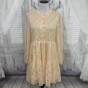 A Loves A Peach Silver Button Babydoll Mini Dress Long Sleeve NWT size Large